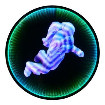 Decorațiune luminoasă neagră de perete cu alimentare la priză ø 60 cm Duke – Reality