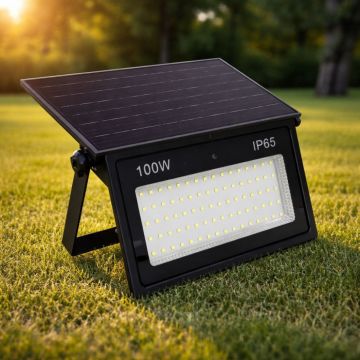 Proiector cu panou solar integrat 100W, 285x175x52mm, 1300lm, IP65, 6500K - Default Title