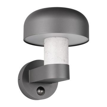 Corp de iluminat pentru exterior, de perete (Ã®nÄu0083lÈu009Bime 24,5 cm) Fraser âu0080Trio