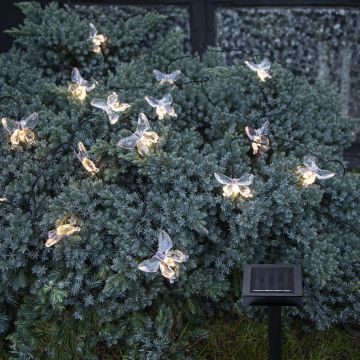 Ghirlandă luminoasă număr becuri 15 buc. solară lungime 280 cm Papillon – Star Trading