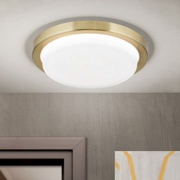 Plafoniera LED moderna LEROX Ã˜20cm alama antique