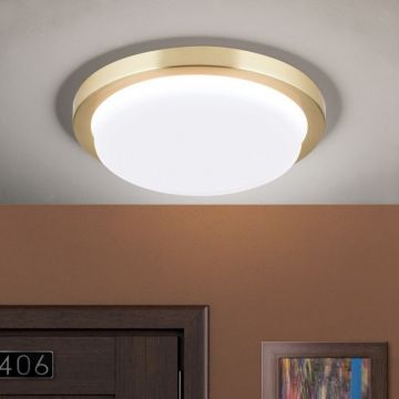 Plafoniera LED moderna LEROX Ã˜20cm alama mat