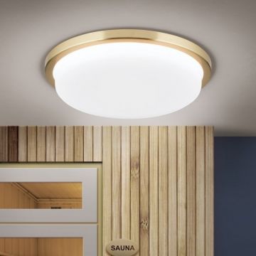 Plafoniera LED moderna LEROX Ã˜30cm alama mat