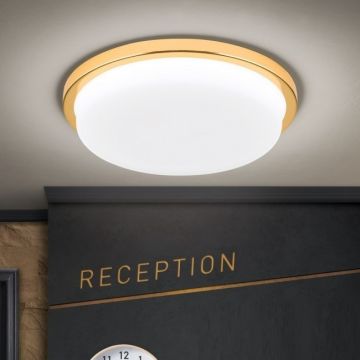 Plafoniera LED moderna LEROX Ã˜30cm aurie 24K