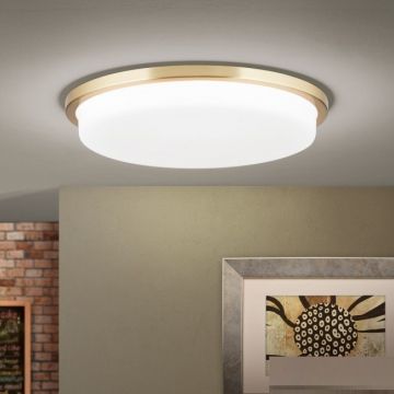 Plafoniera LED moderna LEROX Ã˜40cm alama mat