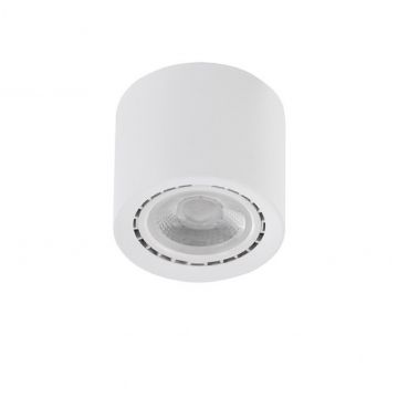 Spot aplicat de tavan/plafon ECO ALEX V2 alb