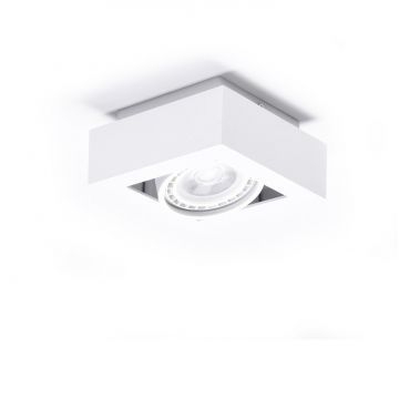 Spot aplicat directionabil de tavan/plafon NIKEA 1 ES111 alb