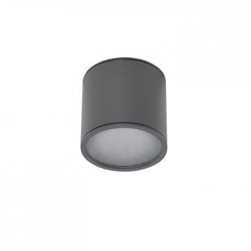 Spot aplicat pentru exterior IP65 ALIX GR