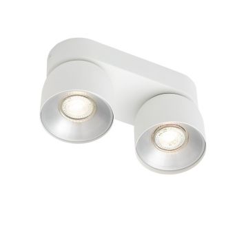 Spot aplicat tavan directionabil Pitcher 2L alb