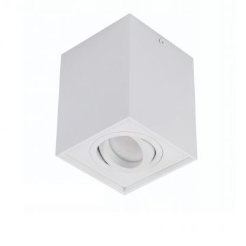 Spot directionabil aplicat tavan/plafon stil modern ELOY 1 White