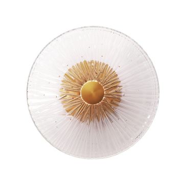 Aplica de perete LED design modern decorativ Allure 1L Clear