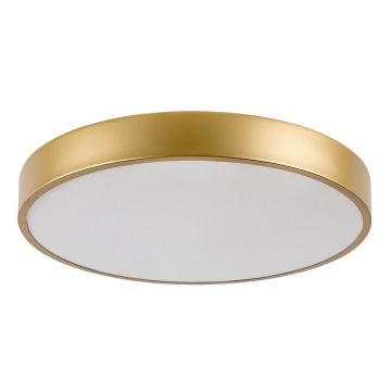 Plafoniera LED design slim Tesia auriu 40cm