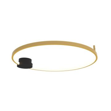 Lustra aplicata LED design inelar Ring auriu, 60cm