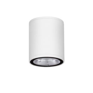 Spot LED aplicat de exterior IP65 LUMINA D-6,5cm alb