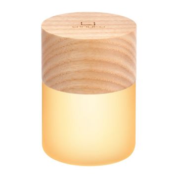DecoraÈu009Biune luminoasÄÃ®n culoare naturalÄcu USB Ã¸ 4,5 cm Lemelia âu0080Gingko