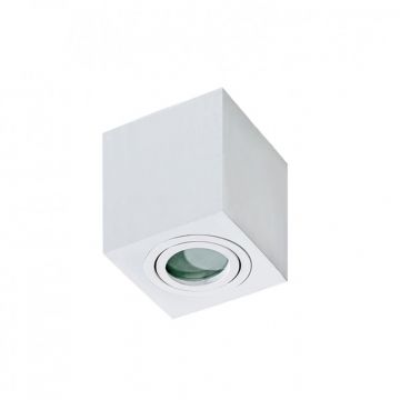 Spot aplicat pentru baie IP44 Brant 1 square alb