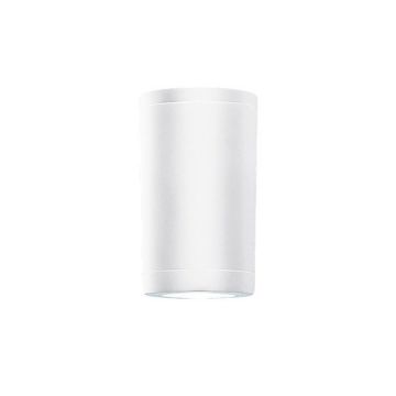 Plafoniera, spot aplicat pentru iluminat exterior, IP54 Dear alb