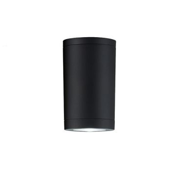 Plafoniera, spot aplicat pentru iluminat exterior, IP54 Dear negru