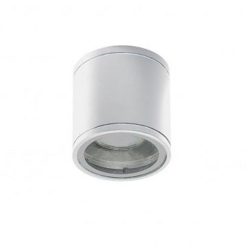 Spot aplicat iluminat exterior IP54 JOE TUBE alb ZZ AZ3315