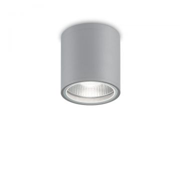 Spot aplicat IP44 GUN PL1 GRIGIO 163642 IDL