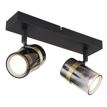 Aplica de perete / tavan 2L design industrial Trabby negru