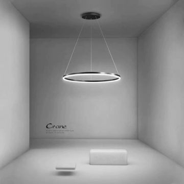 Lustra LED D80CM Minimalist Ring cu Telecomanda wifi 2.4G Negru lumina/rece/calda/neutra intensitate reglabila DM5205-800 BK