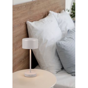 Lampa de masa Jeff, RL, 12.5x30 cm, 1.5W, 1x SMD, metal, gri deschis