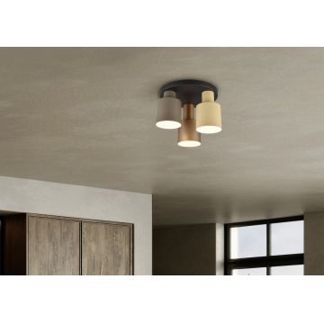 Plafoniera Agudo, TRIO, 30x24.5 cm, 40W, 3x E27, metal, multicolor