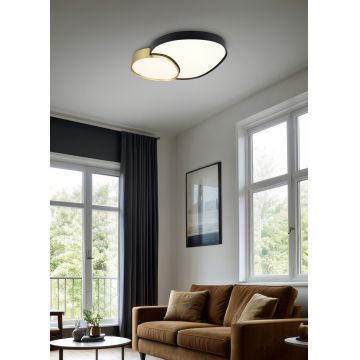 Plafoniera Rise, TRIO, 70x66x8.5 cm, 45W, 1x SMD, metal, multicolor