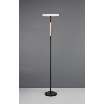 Lampadar Celeste, TRIO, 33x160 cm, 15W, 1x SMD LED, metal, negru/gri