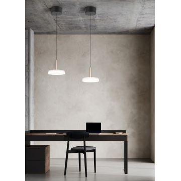 Lustra Celeste, TRIO, 22x200 cm, 10W, 1x SMD LED, metal, negru/alb