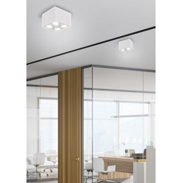 Plafoniera Biscuit, TRIO, 17.8x9.6x12.5 cm, 35W, 2x GU10, metal, alb mat