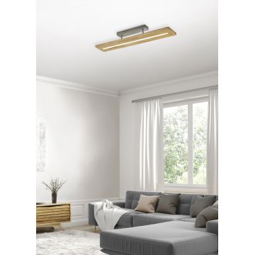 Plafoniera Brad, TRIO, 100x20x16.7 cm, 27W, 1x SMD LED, lemn, natur/gri