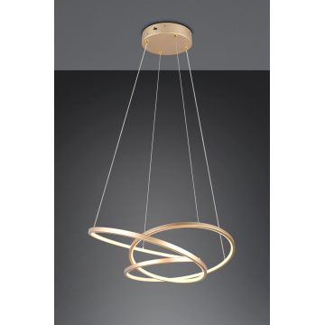 Lustra Darvin, TRIO, 64x49x150 cm, 34W, 1x SMD, metal, auriu