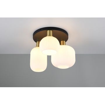 Plafoniera Diva, TRIO, 39x28.5 cm, 10W, 3x E27, metal, multicolor