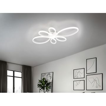 Plafoniera Fly, TRIO, 83x45.5x7.5 cm, 32W, 1x SMD, metal, alb mat