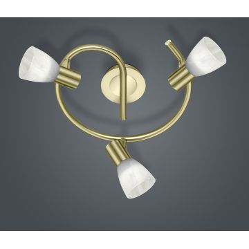 Plafoniera Levisto, TRIO, 30x21 cm, 4.9W, 3x E14, metal, bronz mat/alb