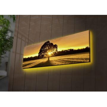 Tablou cu LED 3090DACT Multicolor 30x90x3 cm