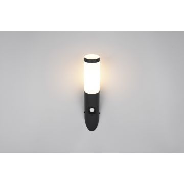 Aplica de perete pentru exterior cu senzor Trioto, TRIO, 7.5x17x39 cm, 25W, 1x E27, inox, negru mat/alb