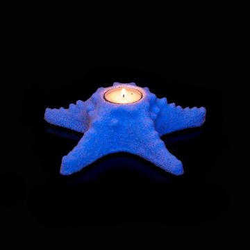 Suport lumanare fosforescent, stea de mare, 18 cm